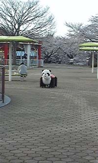 20131022_b010.jpg 20131022_b010.jpg