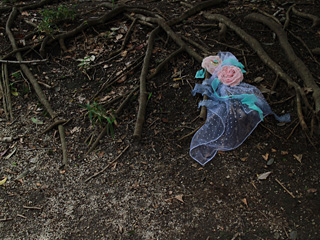 20140429_g001.jpg 20140429_g001.jpg