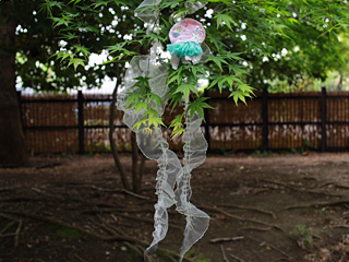 20140429_g003.jpg 20140429_g003.jpg