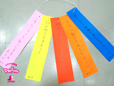 20140707_p11.jpg 20140707_p11.jpg