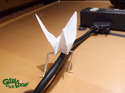 20150608_g02.jpg 20150608_g02.jpg