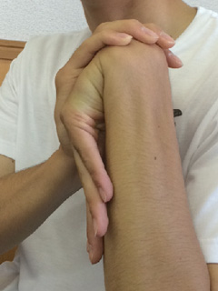 20150728_g02.jpg 20150728_g02.jpg