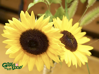 20150804_g07.jpg 20150804_g07.jpg