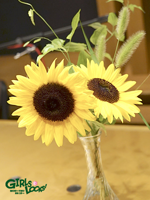 20150805_g07.jpg 20150805_g07.jpg