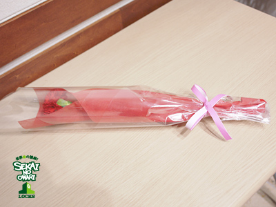 20160506_s04.jpg 20160506_s04.jpg