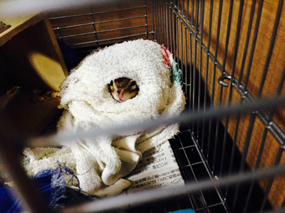 SCHOOL OF LOCK! SCHOOL OF LOCK!