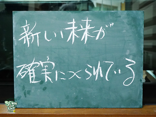 SCHOOL OF LOCK! SCHOOL OF LOCK!