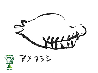 20180316_s763ni9_12.jpg 20180316_s763ni9_12.jpg