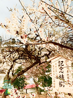 SCHOOL OF LOCK! SCHOOL OF LOCK!