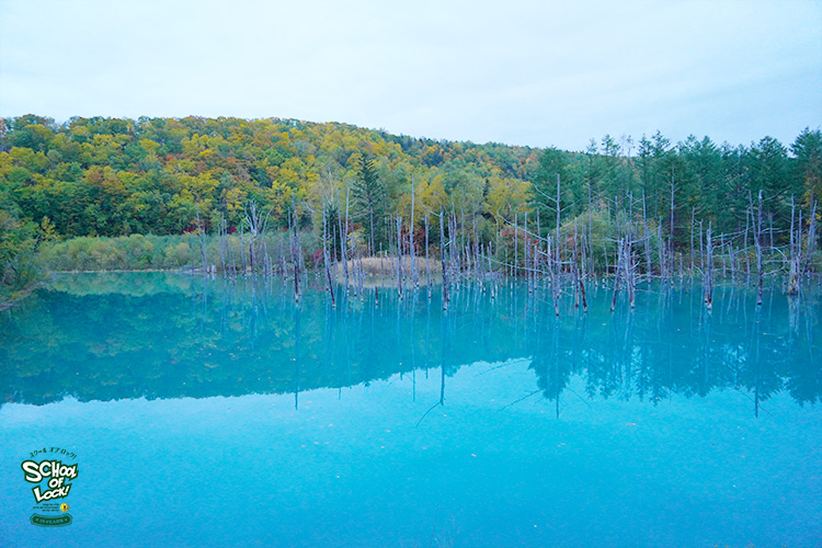 SCHOOL OF LOCK! SCHOOL OF LOCK!