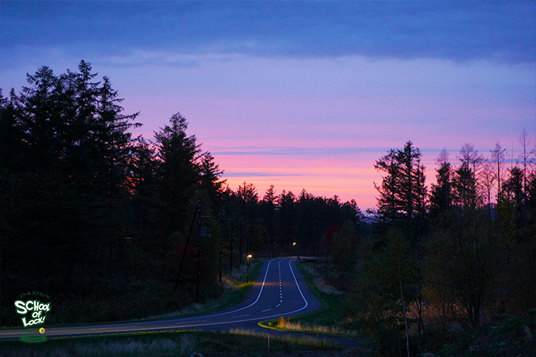 SCHOOL OF LOCK! SCHOOL OF LOCK!