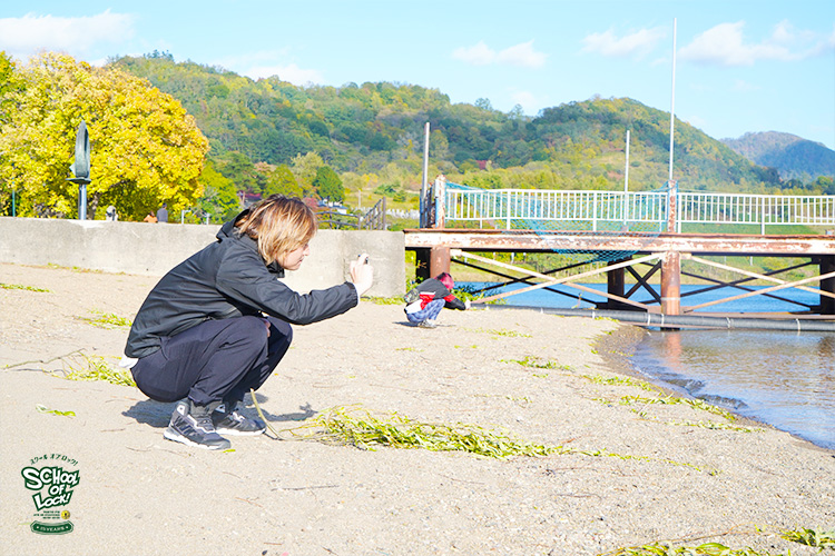 SCHOOL OF LOCK! SCHOOL OF LOCK!