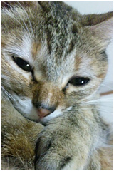 doubtu_01.jpg doubtu_01.jpg