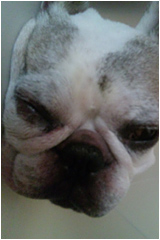 doubtu_02.jpg doubtu_02.jpg