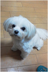 doubtu_04.jpg doubtu_04.jpg