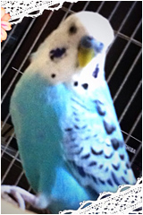 doubtu_05.jpg doubtu_05.jpg