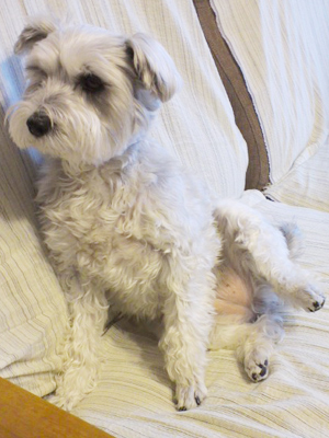 doubutu_08.jpg doubutu_08.jpg