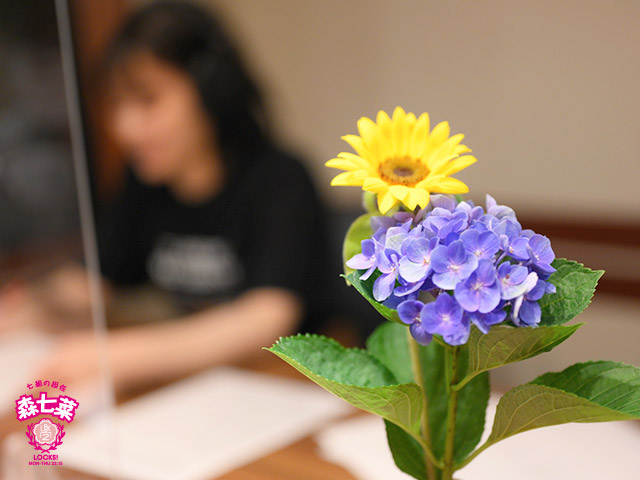 SCHOOL OF LOCK! SCHOOL OF LOCK!