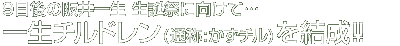 �ꐶ�`���h�����ʏ́F�����`��������
