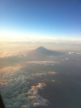 �V�_����