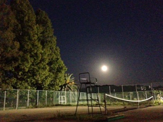 �r���[�e�B�t���ʐ^