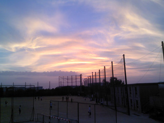 �r���[�e�B�t���ʐ^