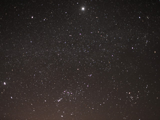 �r���[�e�B�t���ʐ^