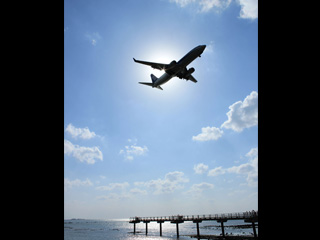 �r���[�e�B�t���ʐ^