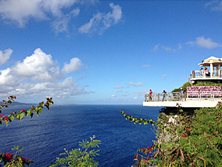 �r���[�e�B�t���ʐ^