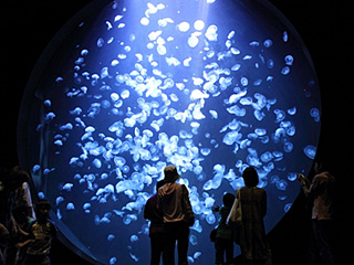 �r���[�e�B�t���ʐ^