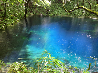 �r���[�e�B�t���ʐ^