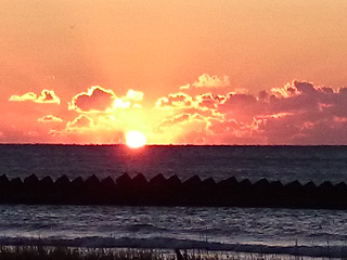 �r���[�e�B�t���ʐ^