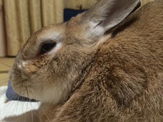 �r���[�e�B�t���ʐ^