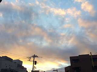 �r���[�e�B�t���ʐ^