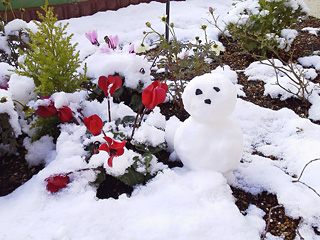 �r���[�e�B�t���ʐ^