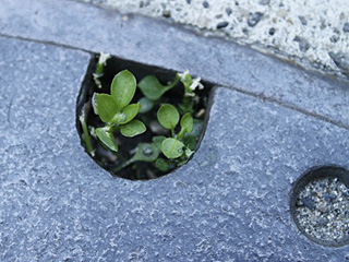 �r���[�e�B�t���ʐ^