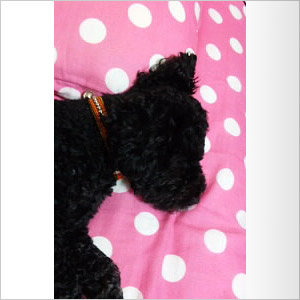 �W���P�ʃ��O�����v��