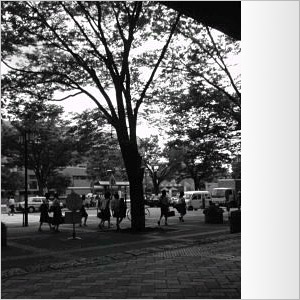 �W���P�ʃ��O�����v��