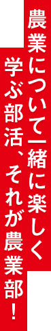 農業について一緒に楽しく学ぶ部活、それが農業部！