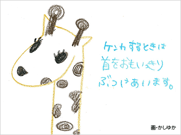 イラスト