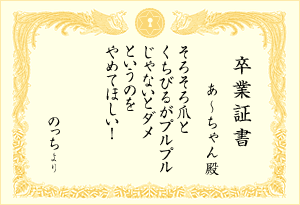 卒業証書 : あ〜ちゃん殿 「そろそろ爪とくちびるがプルプルじゃないとダメというのをやめてほしい！(のっちより)」