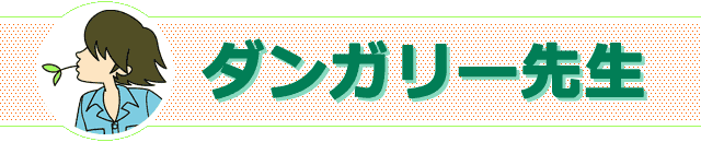 ダンガリー先生