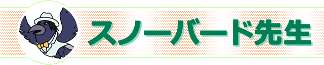 スノーバード先生