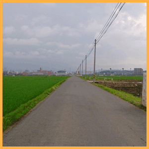 RN������