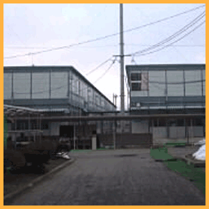 RN������