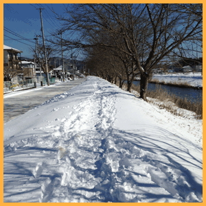 RN�t�H���I