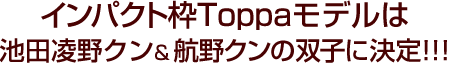 この枠の採用基準は、ずばりインパクト重視!