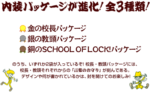 内装パッケージ