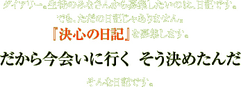 紙ヒコーキダイアリー