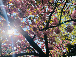デモの影響にも負けません！　骨太ロンドン、その心とは？sub画像2